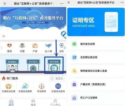 臨時(shí)身份證明電子政務(wù)認(rèn)證服務(wù) 數(shù)字化賦能與便民新體驗(yàn)